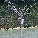 L'echo Des Bois Bed & Breakfast