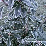 Bed & Breakfast L'echo Des Bois Lyons-la-Forêt