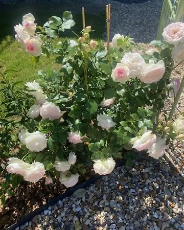 L'echo Des Bois Lyons-la-Foret