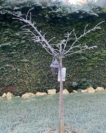 L'echo Des Bois Bed & Breakfast