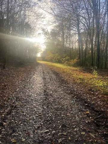 L'echo Des Bois リヨン・ラ・フォレ